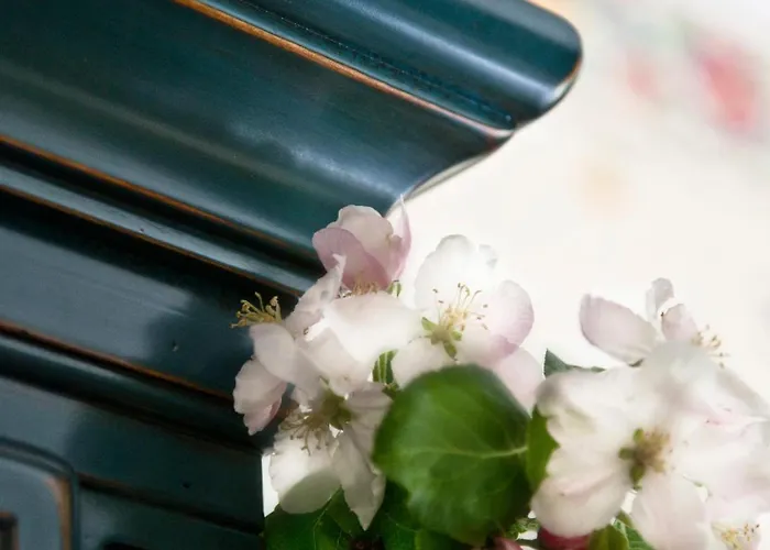 Pensionat Caldera 3*