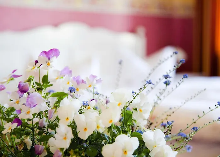 Pensionat Caldera 3*